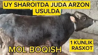 UY SHAROITIDA ARZON USULDA BOQISH