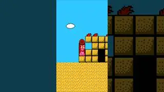 ⭐SECRET COIN in Super Mario Bros. 2
