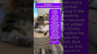 Love Willow, BYE #3southerncatsandmomma