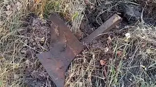 Сентябрьский металлокоп в лесополосе