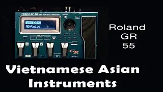 Roland GR 55 Vietnamese