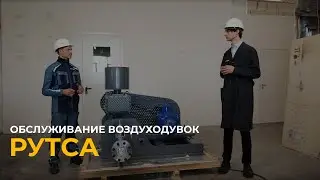 Обслуживание воздуходувок Рутса