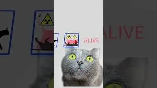 Schrödinger's Cat: Quantum Superposition