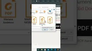 PDF To Word 