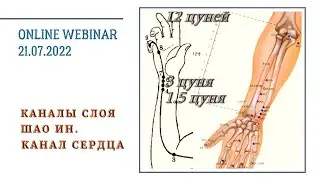 ВЕБИНАР СЛОЙ ШАО ИН. КАНАЛ СЕРДЦА. ВЕБИНАР 1. КИТАЙСКАЯ МЕДИЦИНА.