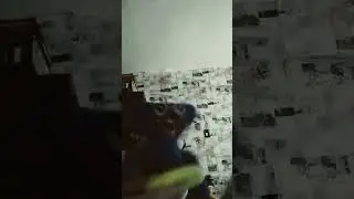 Хаги ваги взорвал квартиру