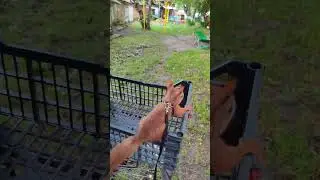 Білченя ПІкачу приїхав додому на велосипеді / Squirrel Pikachu came home on a bicycle