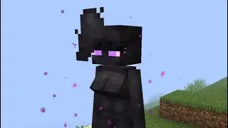 The EnderWoman