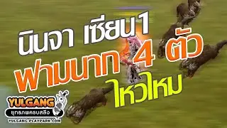 โยกัง นินจาเซียน1 ฟามนาก4ตัว ที่หุบเขาร้อยลี้