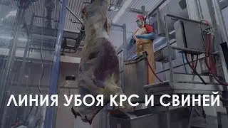 Комбинированная линия убоя малой производительности | Combined slaughter line of low productivity