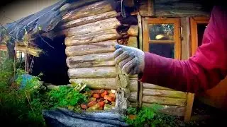 Hermits in an abandoned village - Abandoned World