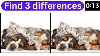 Find Difference Puzzle Video | Best Puzzle Video #findthedifference #puzzlechallenge #puzzlegame