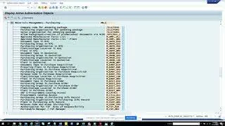 11. How to find Active Authorization Object based on Process Area  AUTH DISPLAY OBJE