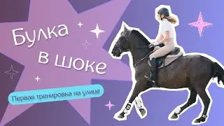 VLOG 10 | ВЫШЛИ НА УЛИЦУ | ЧТО НЕНАВИДЯТ ЧАСТНИКИ | КАБАРДИНСКИЕ АВИАЛИНИИ
