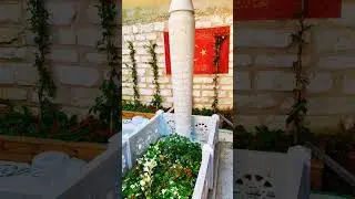Üstad Kadir Mısıroğlu Kabri Üsküdar İstanbul Türkiye