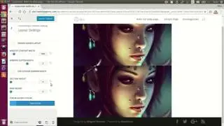 How to setup Layout Settings in Divi Elegant Theme