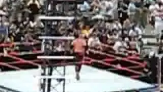 KANE WINS BATTLE ROYAL AT WRESTLEMANIA 24 FREE-FOR-ALL!!
