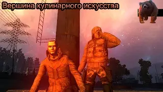 Stalker Online Квесты Гурмана ''Вершина Кулинарного Искусства