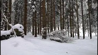 Beyond the Walls in the Land of Eternal Winter