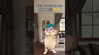 #youtube #рекомендации #популярное отец знает чему научить!!! 🤣😜👌