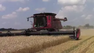Three Case IH 9230 Axial-Flow Combines on Tracks Harvesting Wheat