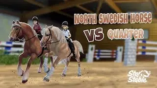 North Swedish Horse VS Quarter | Speedtest | Star Stable Online