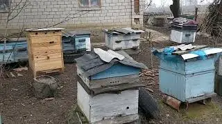 Що варто зробити зараз,щоб мати сильну сім'ю весною