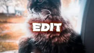 🔥EDIT CAT | ТОПОВЫЙ ЭДИТ КОТ