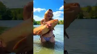 #fishing #carpfish #рибалка #carp #трофей