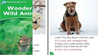 Học tiếng anh qua truyện : Wonderful wild animals - Oxfoxd Dolphin Readers