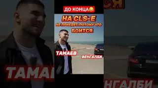 ВЕНГАЛБИ ЗАКРЫЛ РОТ ТАМАЕВУ | 