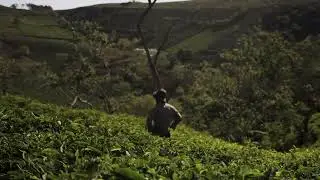Alone Man in the Field on Mountain - Copyright Free Videos
