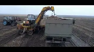 Старый конь борозды не испортит. Свеклопогрузчик СПС 4.2 в работе