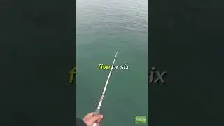 How to catch squid!!