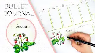 Diář 2020 - Červen |  Bullet Journal 2020 - June