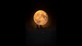 Moon Shot w/ Sony A6600 - SEL100400GM & 2x Teleconverter | #Shorts | MyKeyReviews