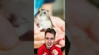 Хомяк съел своего хозяйна😱😰❌