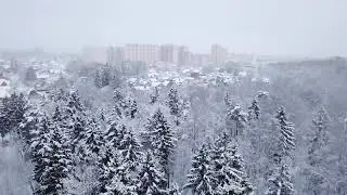 Снегопад 13 02 2019