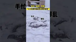 Tianjin University snow fall 2024