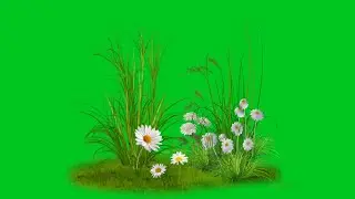 green screen grass flower | flower green screen effects | green screen grass