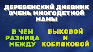 Деревенский дневник очень многодетной мамы. Мать героиня. В чем разница между Быковой и Кобляковой