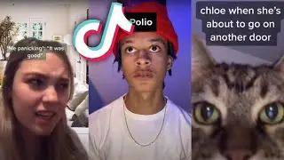 tiktoks my cat threw up 😋😋