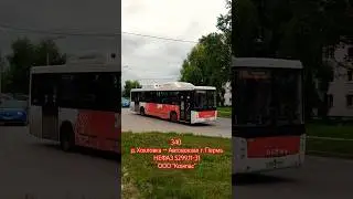 Пермь | Автобусный маршрут 340 | Остановка 5 Микрорайон | #bus #транспорт #perm #пермь #россия
