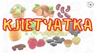 Что такое клетчатка или пищевые волокна?