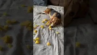 #мой