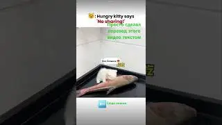 ути пути