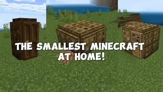 THE SMALLEST MINECRAFT AT HOME!🏠🤏