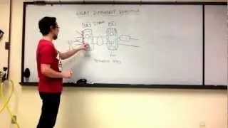 Lecture Review - Light Reactions (Biol 1406 Ch 10)