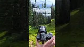 Mountain Forest Photography with RhinoCam Vertex #photography