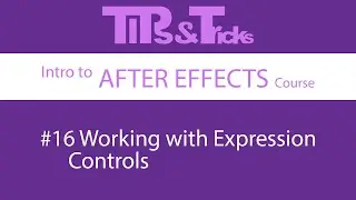 #16 Working with Expression Controls | Intro to AFTER EFFECTS course